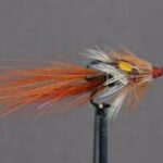 Foxford Shrimp Fl