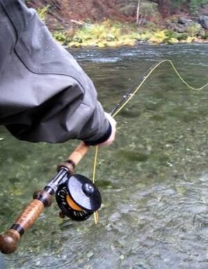 Salmon Bait & Spin Angler